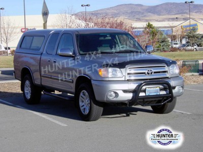 tundrabkbull2.jpg