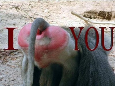 Валентинка.jpg (52.03 КБ) 2170 просмотров Валентинка.jpg