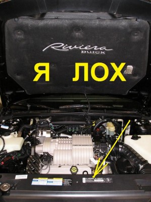 21540300021_large - копия.jpg