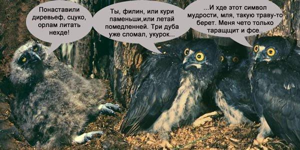 пыхун 1.JPG