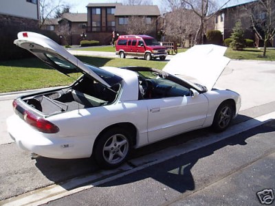 firebird94.jpg