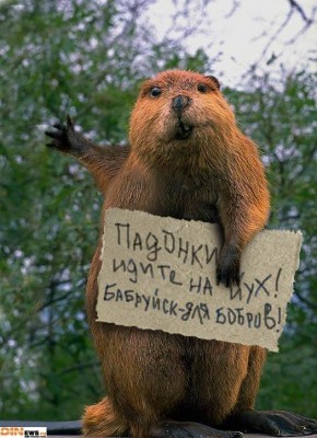 untitled.jpg (72.04 КБ) 1033 просмотра untitled.jpg