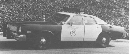 pol751[1].jpg