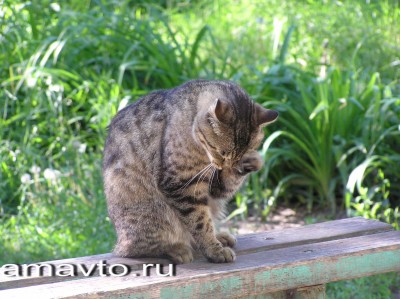 1c.jpg (1.09 МБ) 2518 просмотров 1c.jpg