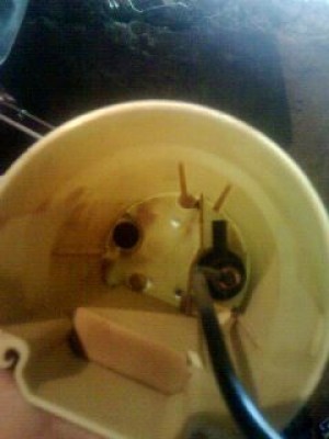 IMG0008A.jpg