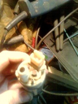IMG0011A.jpg