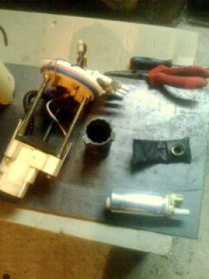 IMG0010A.jpg