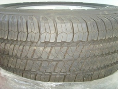 SNV30667.JPG