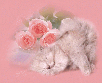 0_15179_8b9cf11c_L.gif