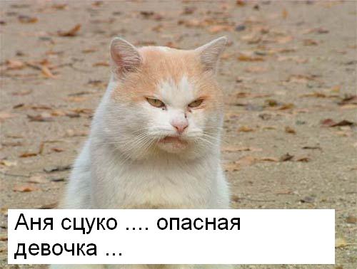 77.JPG