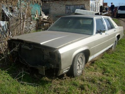 S6309468.JPG