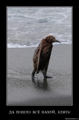 125063295986_x_5ea5f40d.jpg (25.94 КБ) 2292 просмотра 125063295986_x_5ea5f40d.jpg