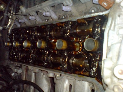 DSC00804.JPG