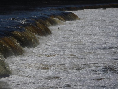 IMO000154.JPG (260.98 КБ) 2987 просмотров 14.04.2009